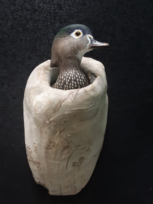 Wood Duck Hen $1700 at Hunter Wolff Gallery